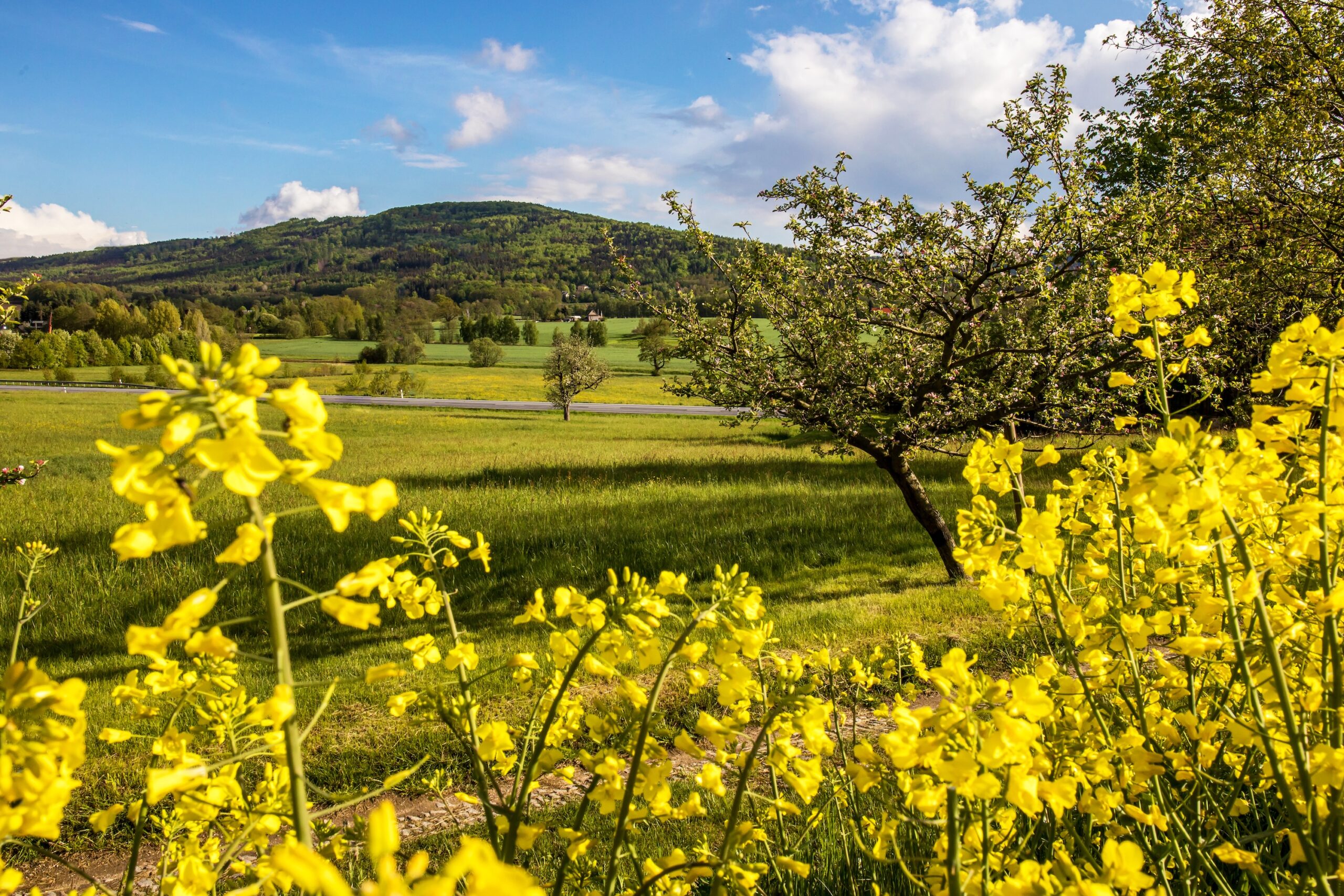 Valtenberg Landschaftspanorama